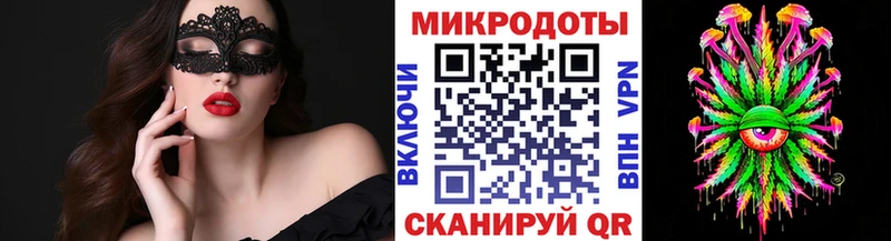Купить Билибино Псилоцибиновые грибы мицелий
